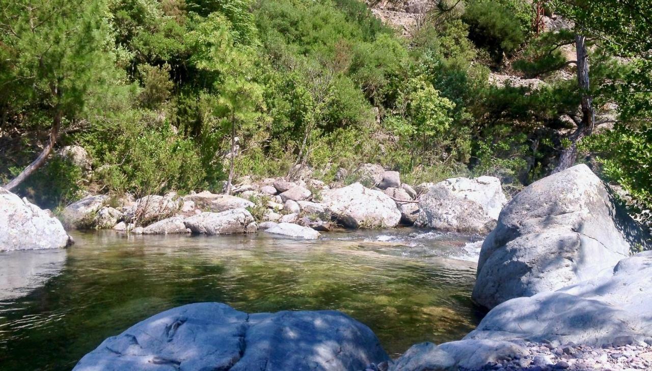 Pietranera studio proche de la mer à 2km de Bastia Ville-di-Pietrabugno Extérieur photo